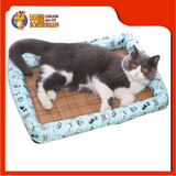 CUSHION SQUARE {S} 47CMX31CM