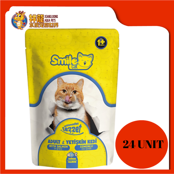 SMILE ADULT WITH SALMON 100G X 24UNIT