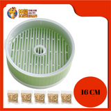 CAT GRASS 16CM