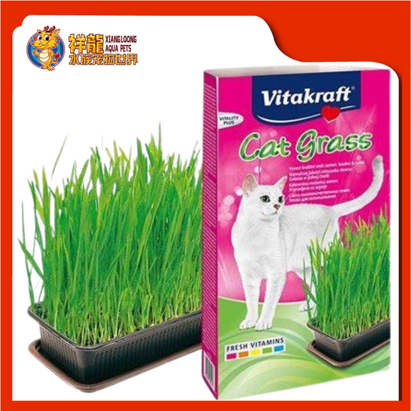 CAT GRASS 120G