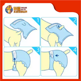 TAOTAOPETS PET DIAPERS [XL]