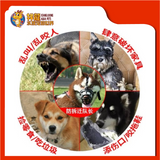 MUZZLE SIZE:2 [30X9CM]