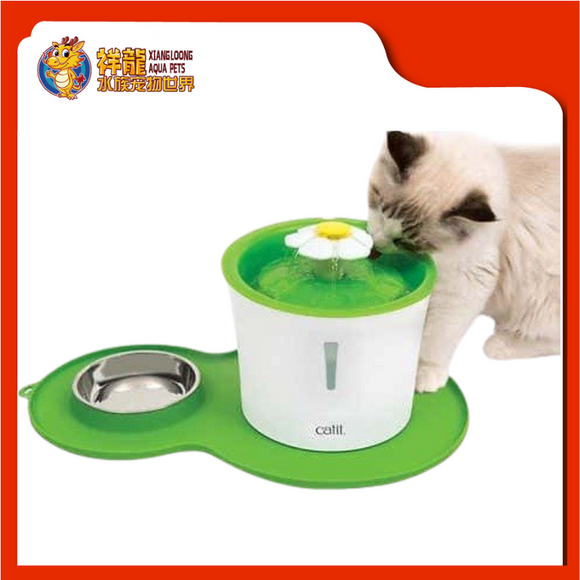 FLOWER FOUNTAIN & PLACEMAT KIT 3L {43730W}