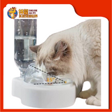 3IN1 CAT FACE PET BOWL 38X13.5X19CM