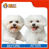 TEAR STAIN CLEANSING POWDER WITH BRUSH 20G