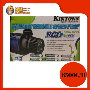 VARIABLE SPEED PUMP ECO-6500GL 50W KINTONS