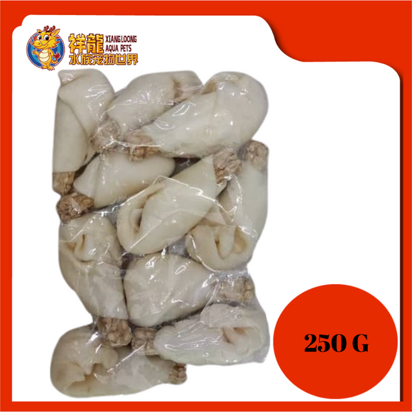 DRUMSTICK RAWHIDE 2